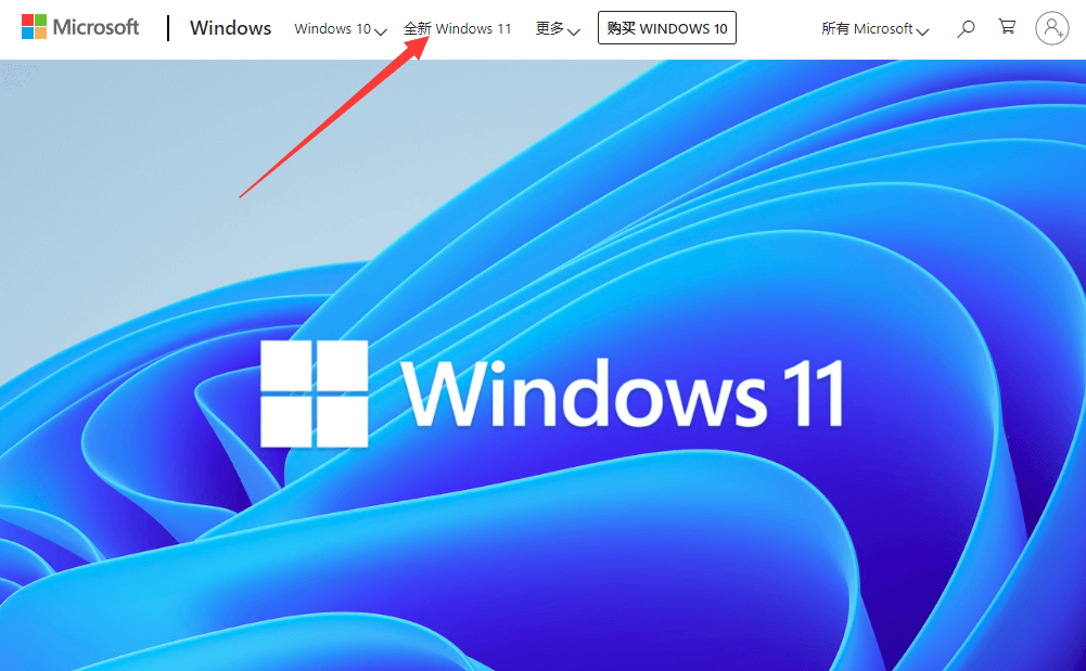 windows 11